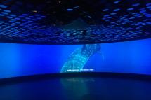 海洋學院